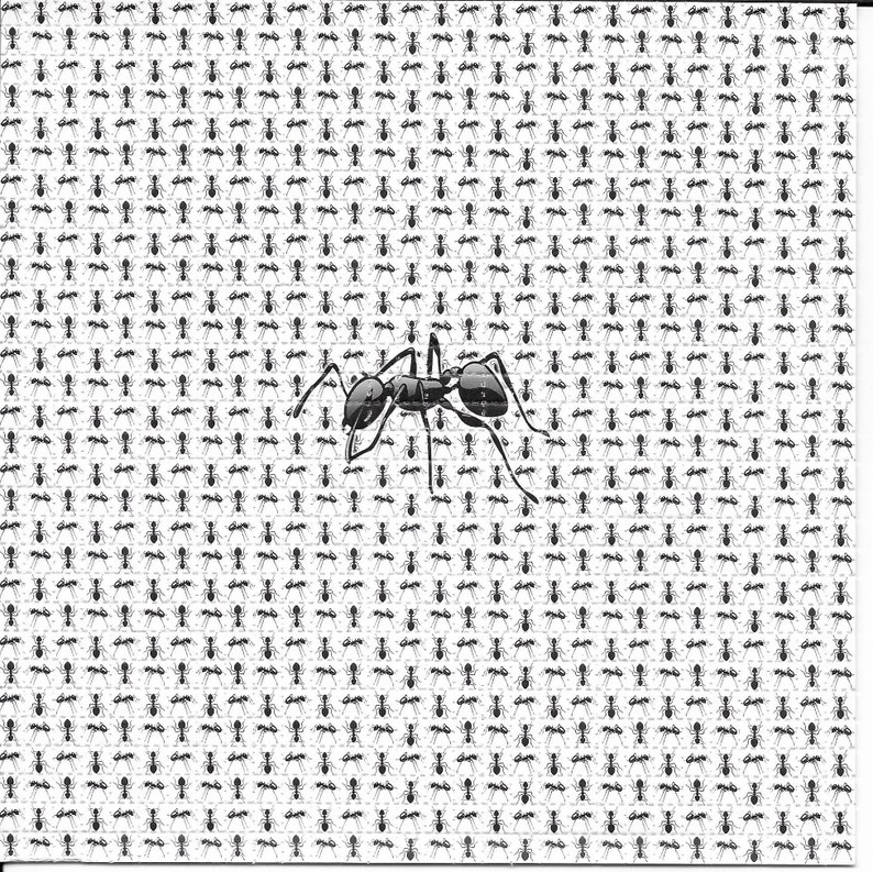 Ink Blotter Paper - Semut Hewan Psychedelic LSD Asam Gratis
