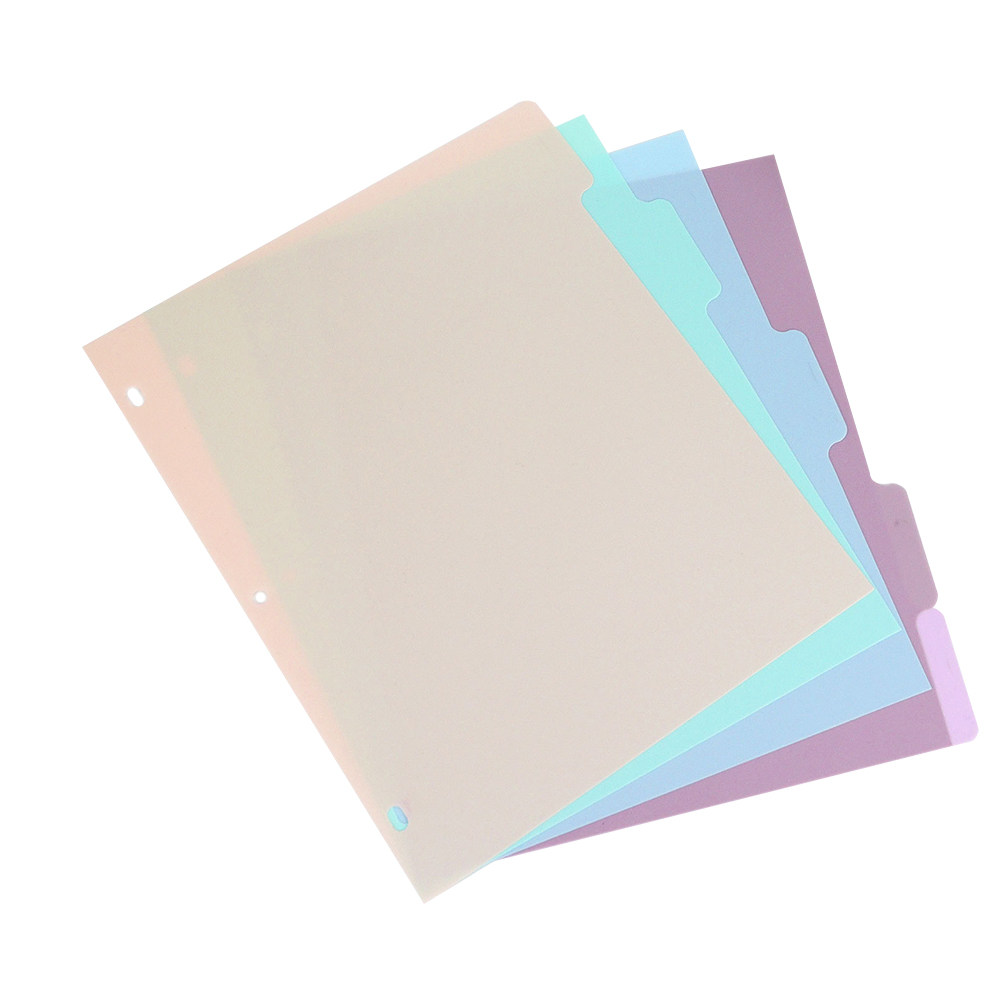 1Set Pembatas Buku A4 Frosted  - Tab Divider A4 ulasan dan harga