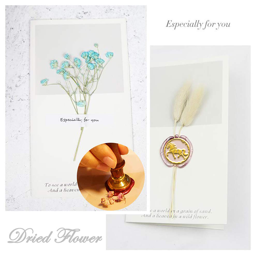 Lumba-lumba kelinci lebah buru - Wax Seal Stamp Set ulasan dan harga